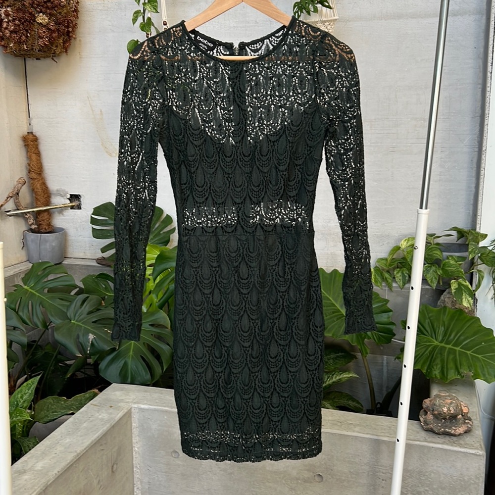 Bebe midi lace dress